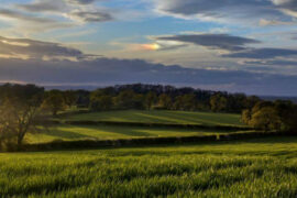 Carbon Neutral Action Plan Image