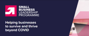 Small Business Leadership training programme announced